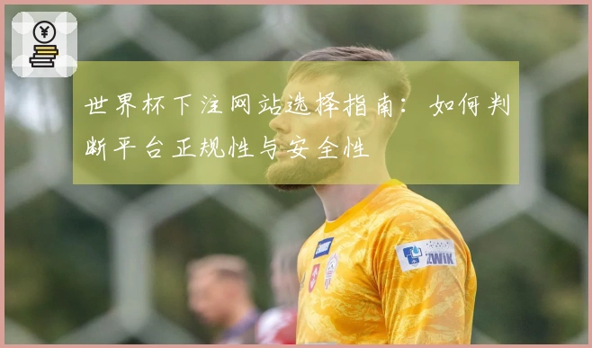 世界杯下注网站选择指南:如何判断平台正规性与安全性