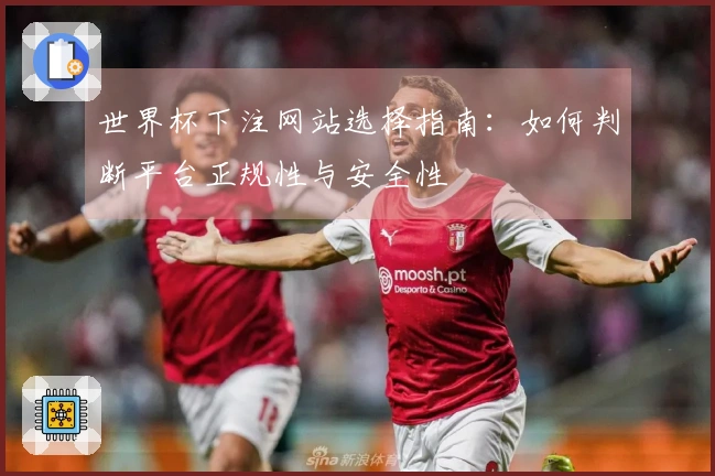 世界杯下注网站选择指南：如何判断平台正规性与安全性