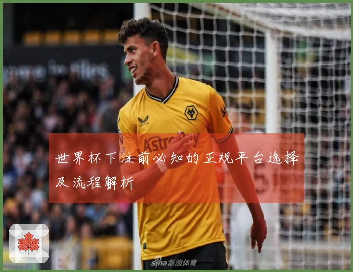 世界杯下注前必知的正规平台选择及流程解析