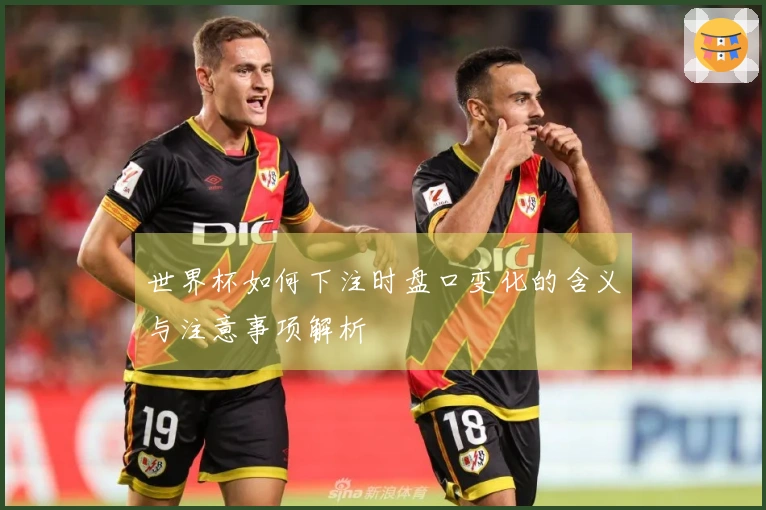 世界杯如何下注时盘口变化的含义与注意事项解析